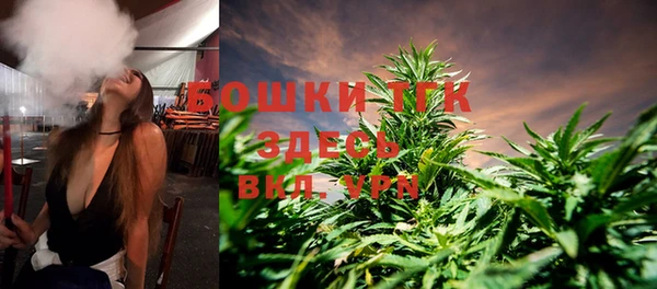 гашик Богородицк